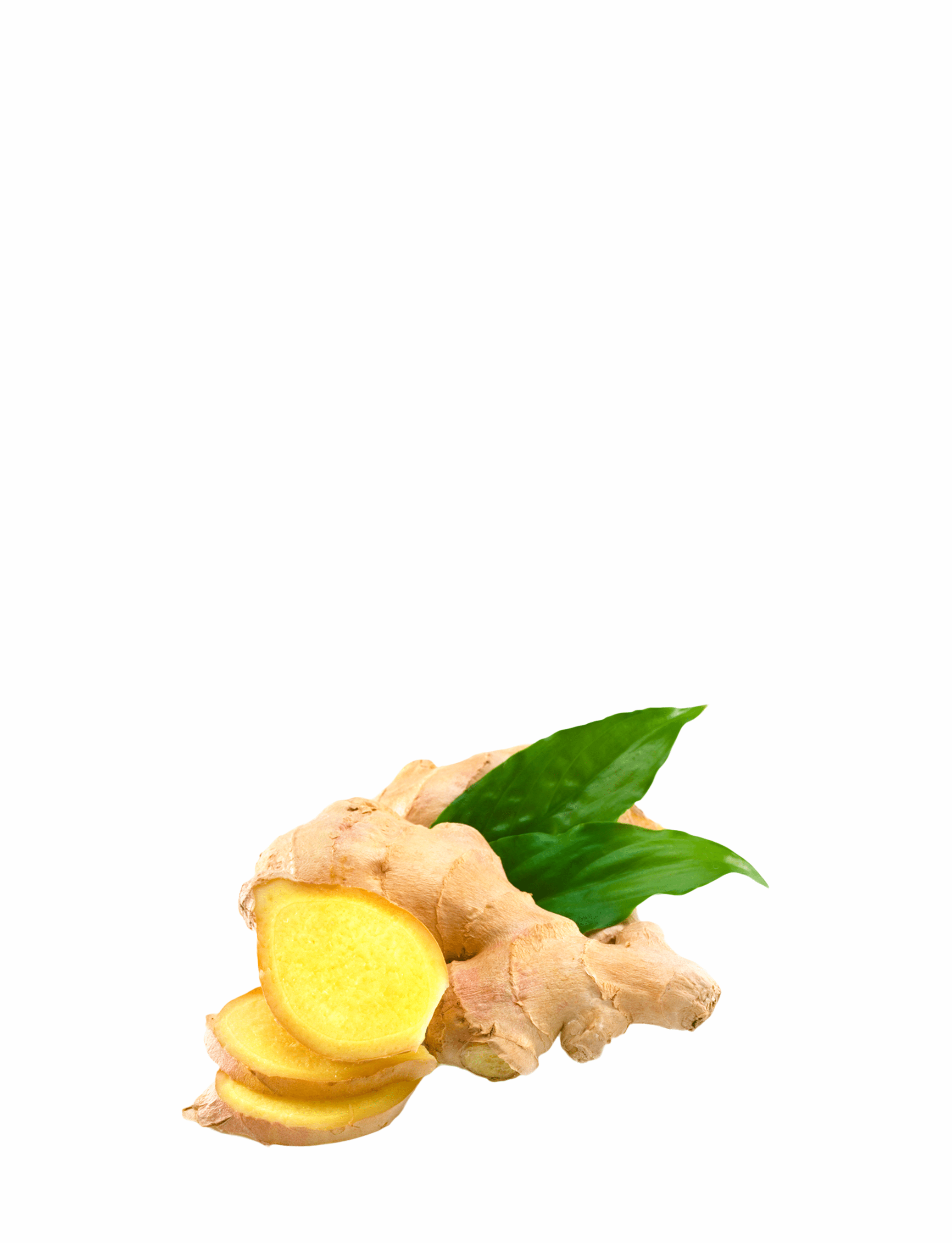 Ginger Herb