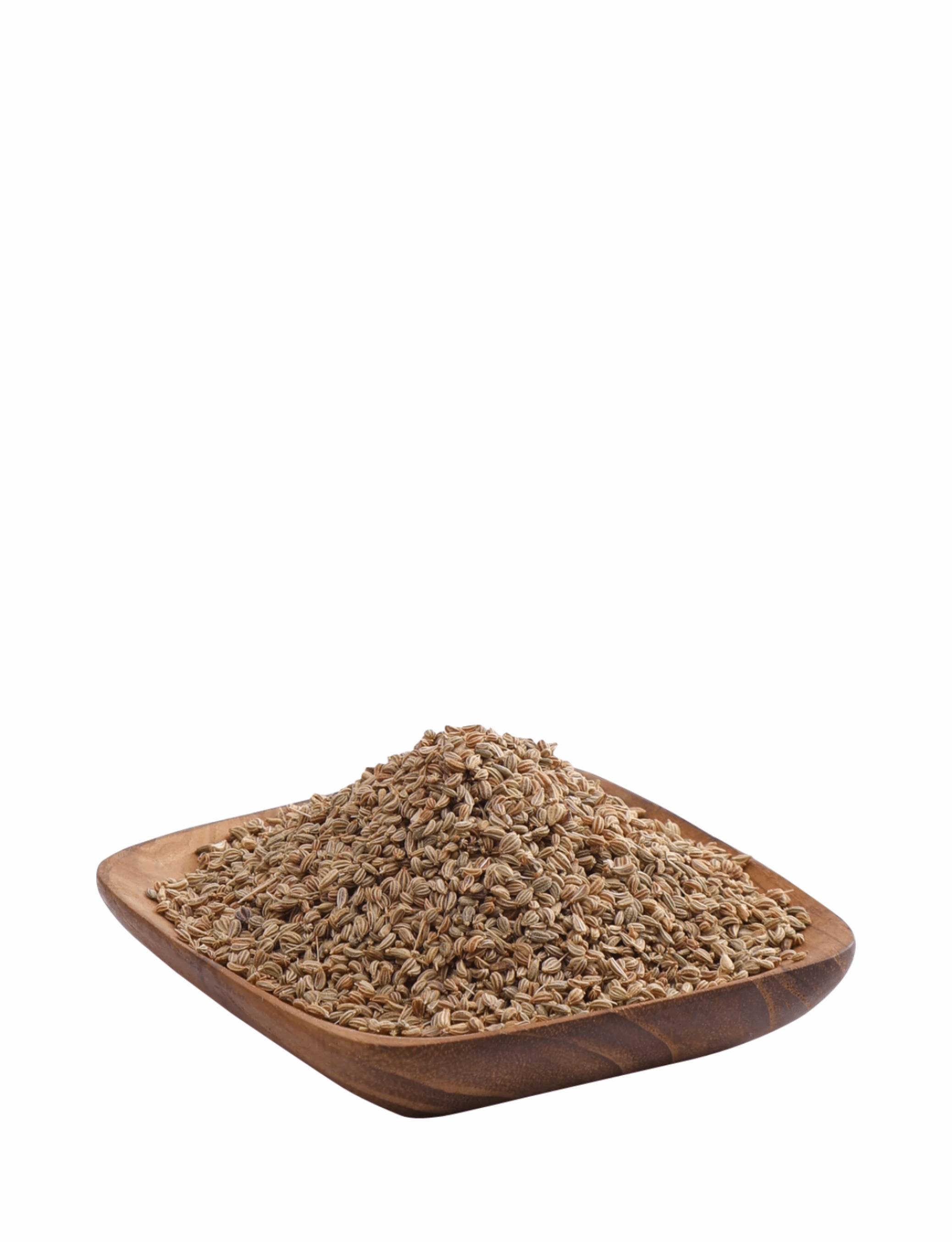 Ajwain Herb