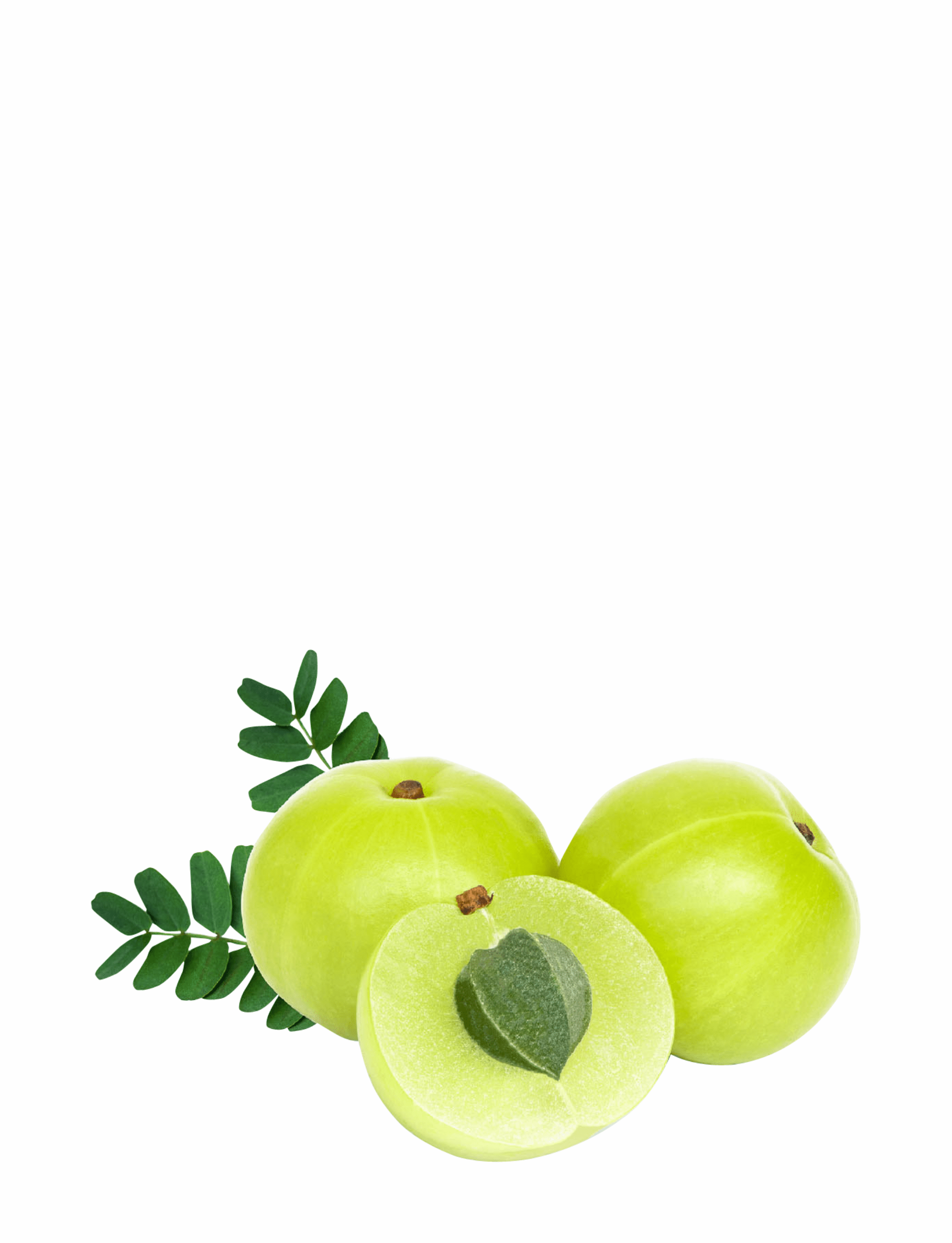 Amla Herb